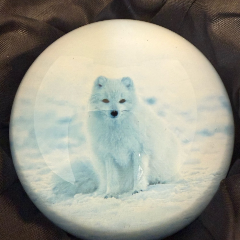 Hanur crystal paperweight featuring an arctic fox design.